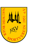 NSV1951